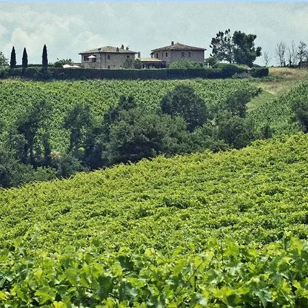 Sleeps 11 With Pool And Air Con Orvieto